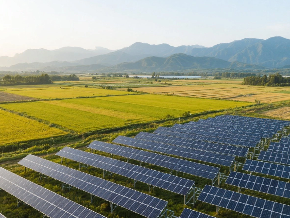 كيفية تركيب الألواح الشمسية الأرضية