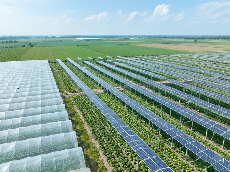 2025 он гэхэд боломжийн үнэтэй 10 кВт-ын шилдэг 5 нарны систем