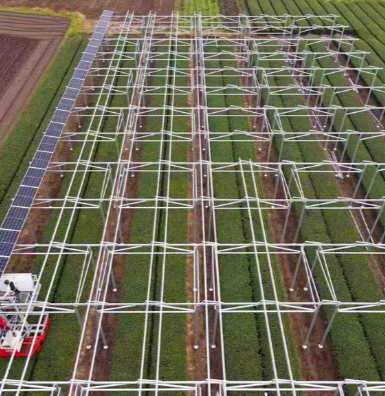 Для чого використовуються сонячні електростанції